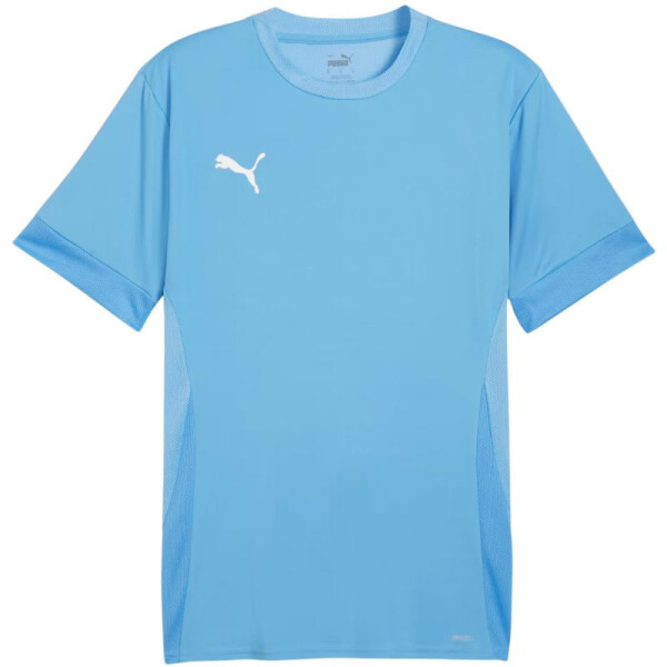 Puma teamGoal Matchday Jersey M 705747 18 muži L