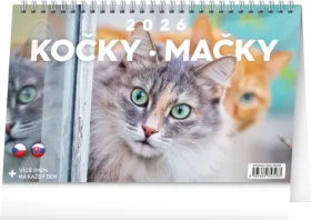NOTIQUE Stolný kalendár Mačky - Mačky CZ/SK 2026, 23,1 x 14,5 cm (PGS-35348)
