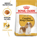 Royal Canin Dog Adult Cavalier King Charles - 1,5kg