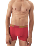 Pánske boxerky 2 Pack 42628 Star - HENDERSON vícebarevná XXL