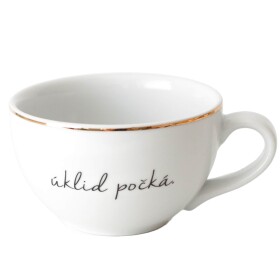 Bella Rose Porcelánový hrnček Úklid počká 300 ml - CZ