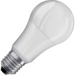 OSRAM 4058075304253 LED En.trieda 2021 E (A - G) E27 klasická žiarovka 13 W = 100 W chladná biela (Ø x d) 60 mm x 120 mm 1 ks; 4058075304253