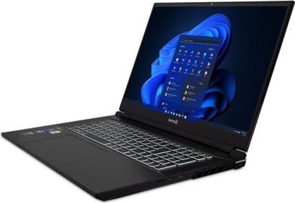 Terra TERRA MOBILE GAMER ELITE 5v3 i9-14900HX W11P US