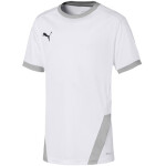 Puma teamGOAL 23 Jersey Jr 704160 04 tričko