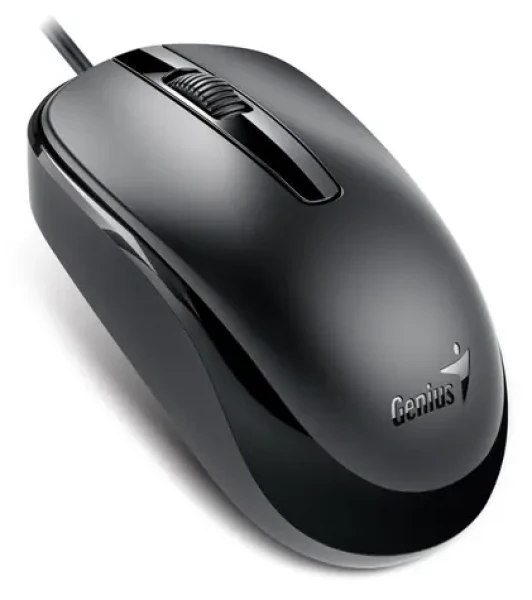 Genius DX-120 čierna / drôtová / 1200 dpi / USB-C (31010029401)
