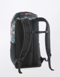 Patagonia Black Hole Pack 25L Kaleido: Black