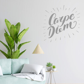 Veselá Stena Samolepka Carpe Diem (Užívaj dňa) Farba: šedá, Veľkosť: 60 x 60 cm
