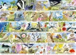 GIBSONS Puzzle RSPB: Kúzlo jarnej prírody