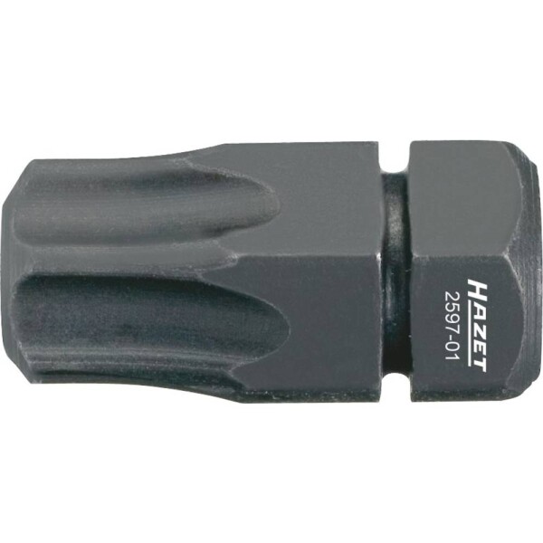 Hazet HAZET, 2597-01 bit Torx T 45, Speciální ocel , 1 ks; 2597-01