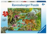 Ravensburger Lesy India