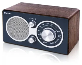 Czajka šedá / Rádioprijímač / Bluetooth / Prenosný