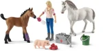 Schleich Návšteva lekára kobyly žriebäťa