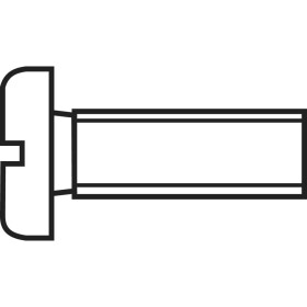 TOOLCRAFT 839652 skrutky s valcovou hlavou M2 20 mm drážka DIN 84 ocel pozinkované 100 ks; 839652