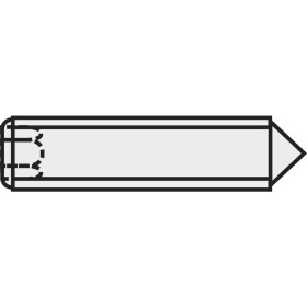 TOOLCRAFT 839846 nastavovacia skrutka M2.5 5 mm ocel 20 ks; 839846
