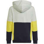 Adidas Colourblock Hoodie Jr HN8567