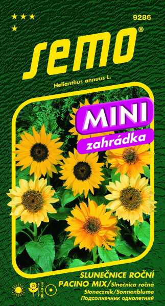 SEMO Slnečnica ročná PACINO mix mini