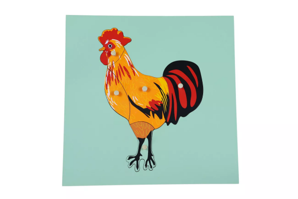 Moyo Montessori Moyo Montessori Puzzle - kohút