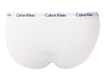 Nohavičky 3pcs QD3588E-WZB viacfarebná - Calvin Klein M vícebarevná