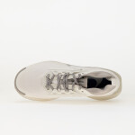 Tenisky Nike Pegasus Trail 5 Gore-Tex Summit White/ College Grey-Light Bone EUR 42