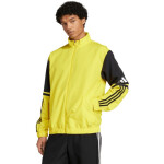 Mikina adidas Squadra 25 Presentation M JP3385 men XL