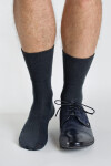 Pánske ponožky Regina Socks Froté Bambus