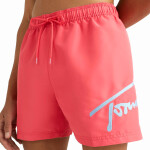 Pánske plavky UM0UM02862-TJN - Tommy Hilfiger XL