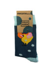 Pánske ponožky Regina Socks 7844 Avangarda Sliepky