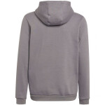 Entrada 22 Hoody Jr Adidas