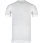 Tričko Alpinus Antero M HN43668 muži L/XL