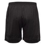 Pánske šortky ARTIGAS II SENIOR XL