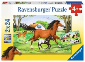 Ravensburger Svet koní