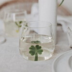 Eulenschnitt Pohár Cloverleaf 350 ml