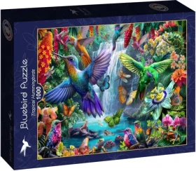 BlueBird Puzzle Tropickí kolibríci