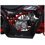 Mamido Detská benzínová štvorkolka RamiGO DESERT STORM LIFT 125CC červená