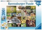 Ravensburger Koláž zvieracích mláďat