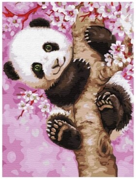 Mamido Maľovanie podľa čísel Panda 40x50 cm