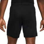 Šortky Nike Academy 25 M FZ9776-010 L (183 cm)