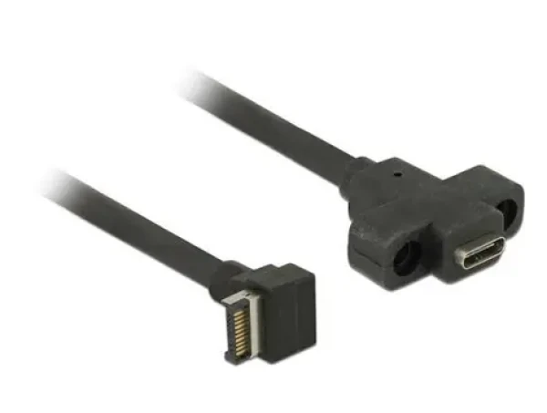 DeLock kábel s montážou na panel USB 3.1 Gen 2 key A 20 pin samec USB 3.1 Gen 2 USB Type-C samica 45 cm (85326-DE)