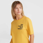 O'Neill Future Surf Society Regular T-Shirt W 92800613485 M