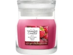 Yankee Candle Red Raspberry Signature Malý (5038581190785)