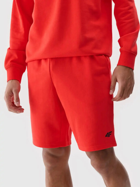 Pánske šortky 4F L