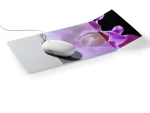 Durable Mouse Pad PLUS sivá / transparentná / Podložka pod myš / s vreckom na foto / 300 x 200 mm (574719)