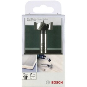 Bosch Accessories 2609255287 Forstnerov vrták 25 mm Celková dĺžka 90 mm valcová stopka 1 ks; 2609255287