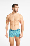 Pánske boxerky Henderson 40652 Fern A'2 S-3XL Vícebarevné M