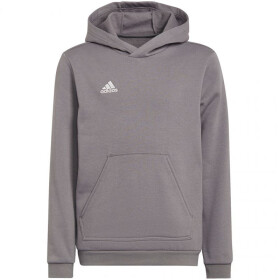 Entrada 22 Hoody Jr Adidas