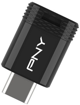PNY Pendrive 256GB Elite-X USB-C 3.2 P-FDI256EXFITC-GE
