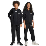 Tepláková súprava adidas Essentials Jr JN2425 152CM