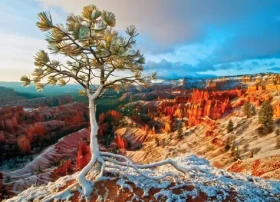 EUROGRAPHICS Puzzle Zimné svitanie, Bryce Canyon