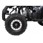 Mamido Detská benzínová štvorkolka RamiGO WILDPEAK 110CC čierna