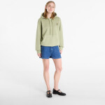 Mikina Carhartt WIP Hooded Nelson Sweat UNISEX Gentle Green M